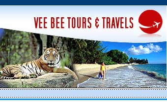 Veebee Tours