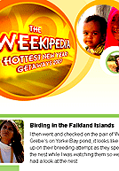 Weekpedia